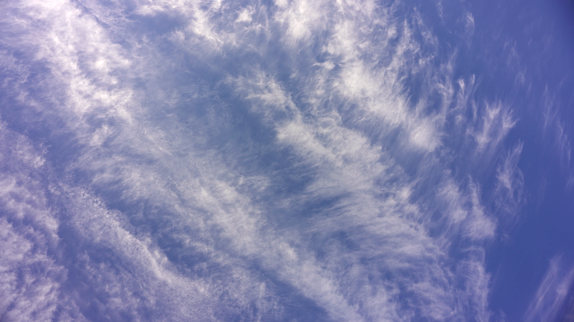 青空に広がる巻雲
